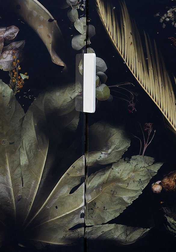 Colección Flora de Marcin Rusak