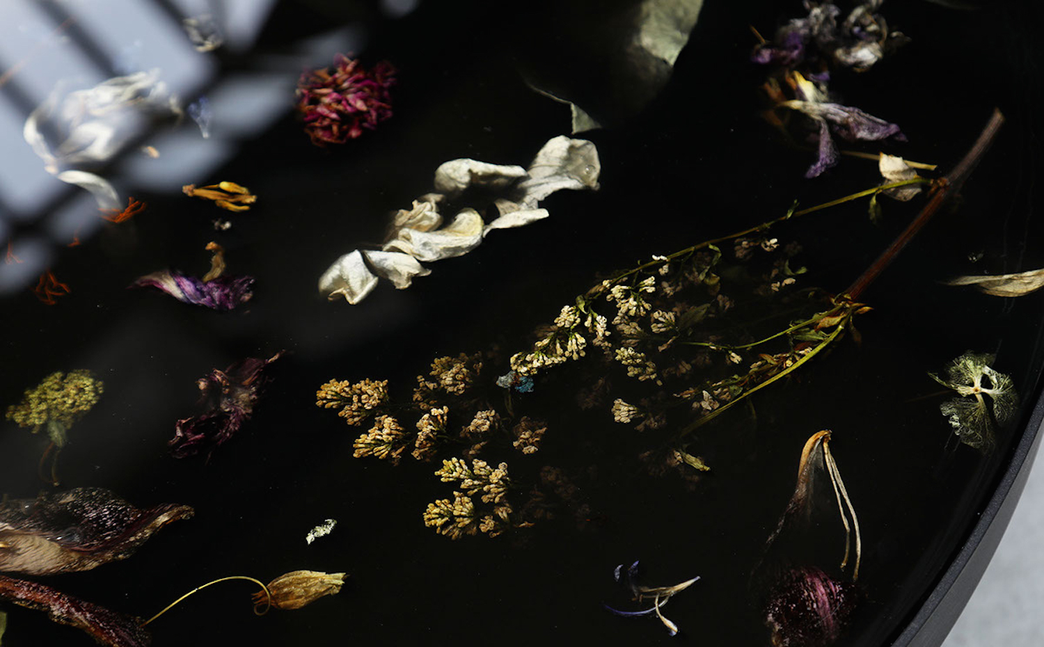 Colección Flora de Marcin Rusak