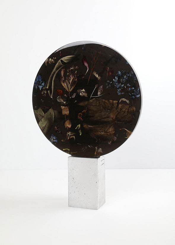 Colección Flora de Marcin Rusak