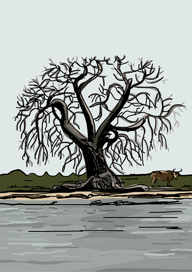 Árbol grande