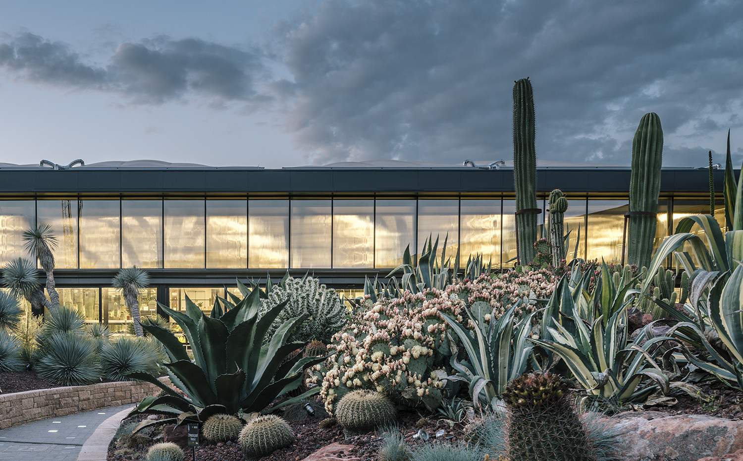 Desert City Jacobo GarciaGerman Imagen Subliminal Pati Nunez Agency 12. El proyecto es un ejemplo de redefinición de los usos del espacio: de un paraje dibujado por los residuos a un paisaje en consonancia con la Naturaleza