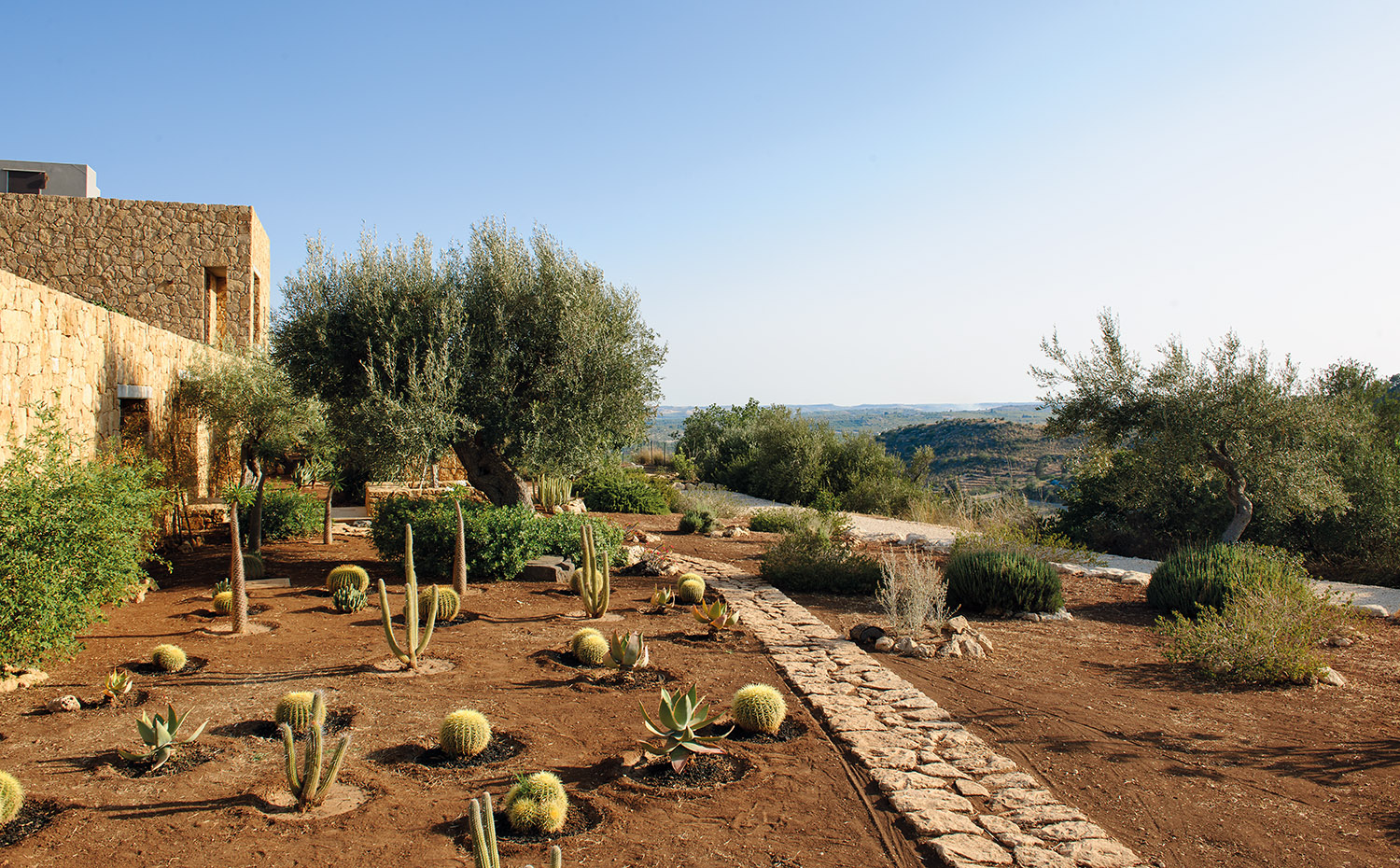 047 DSC9685. El jardín de cactus nos recuerda que estamos cerca de la costa africana