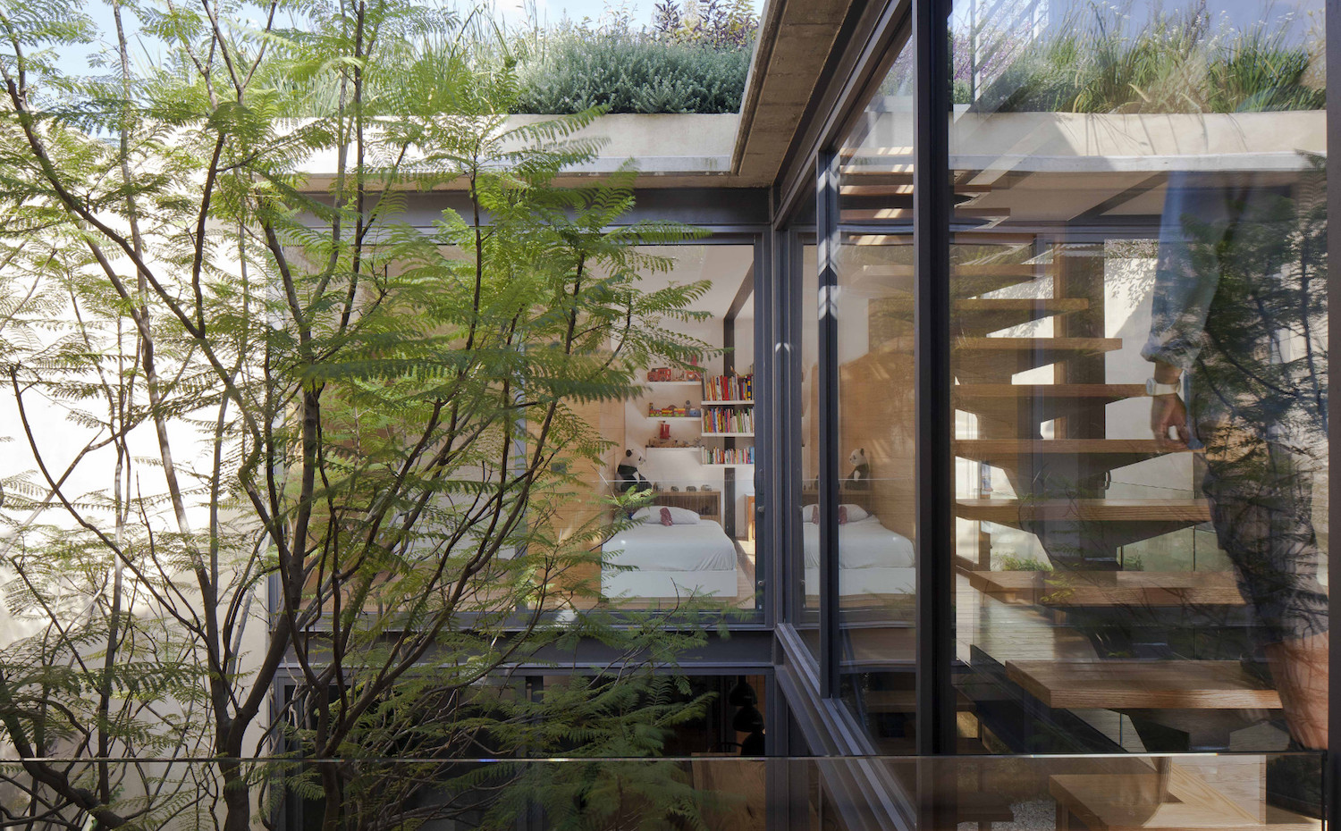 casa vidrio y metal en México por Andrés Stebelski