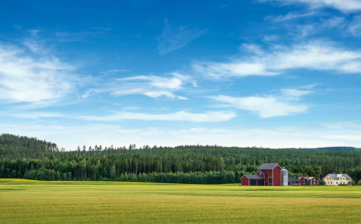 930-si--AyD-Delin,B.-Ludnas-26. Buster Delin diseñó y construyó su casa de veraneo en Hälsingland, Suecia