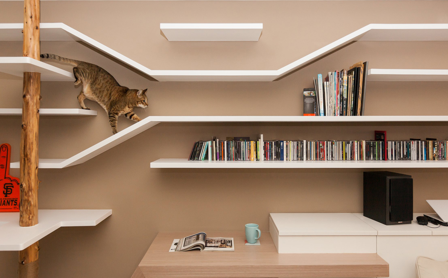 161220155420-thinking-design-cat-house-taiwan-4. [01] Subirse por las paredes