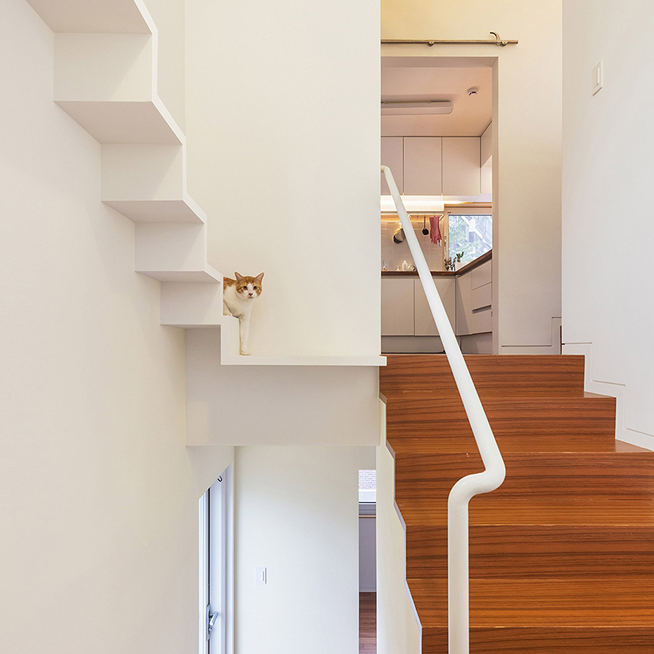 house-in-seoul-obba-house-architecture-for-cats dezeen 1704 col 4. [03] Un loft para gatos