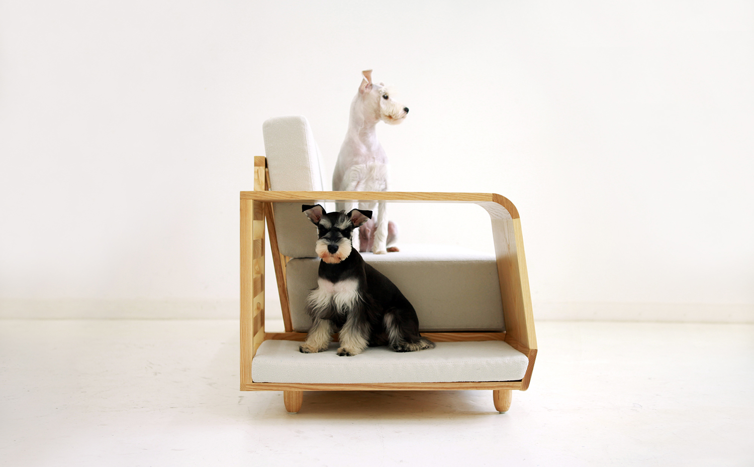 mpup-dog-sofa-2. [07] El sofá compartido