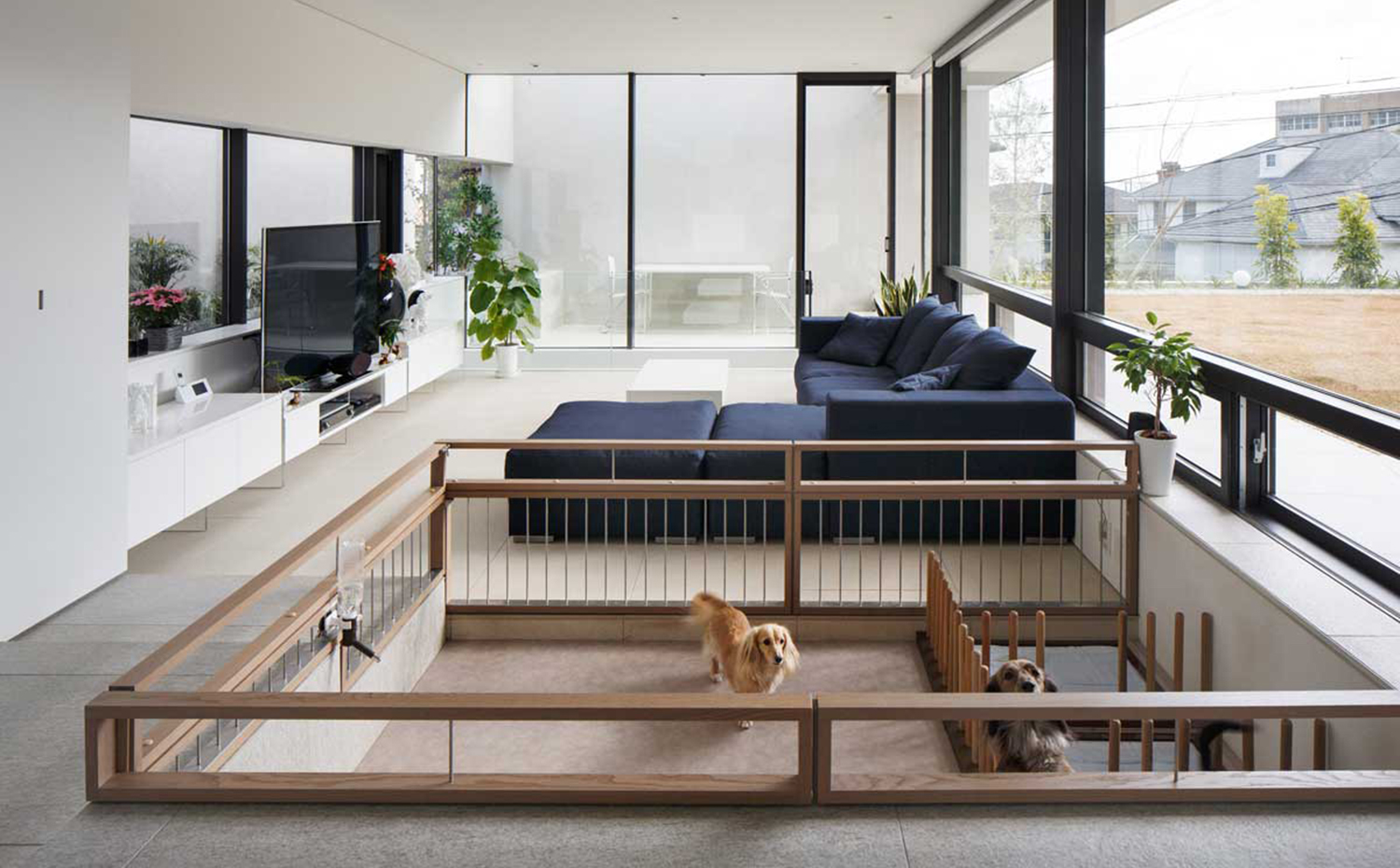 S-Residence soichi yamasaki. [02] Cuadrilátero canino