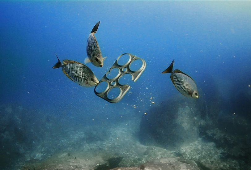 we-believers saltwater-brewery edible-six-pack-rings dezeen 1568 8