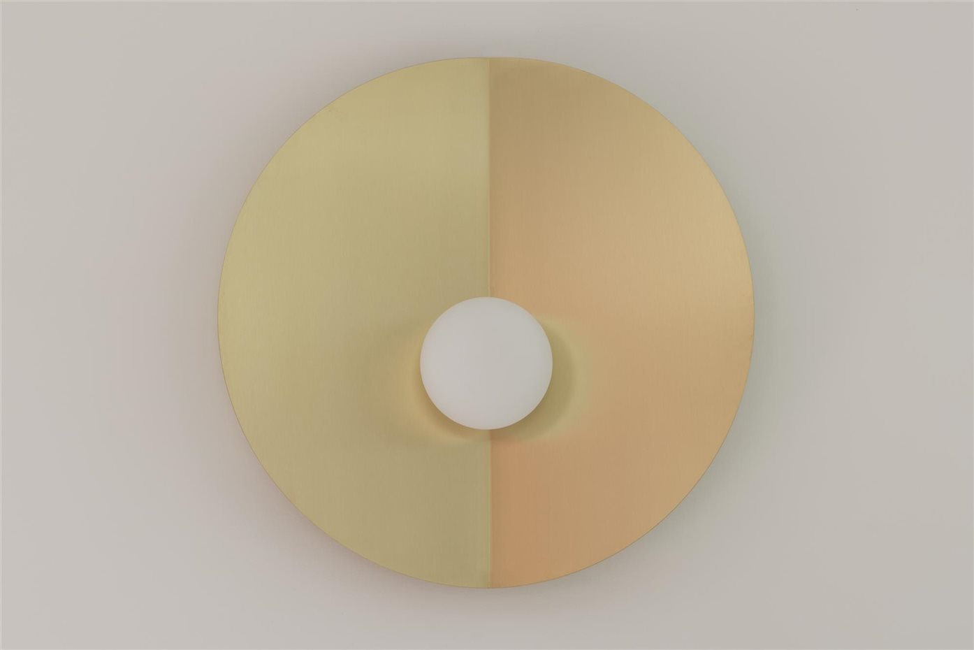 45 Flor de Lliri-11048. 