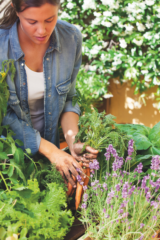 La irrupción del cultivo en las viviendas urbanas supondrá una eclosión de conceptos de diseño y dará lugar a que los jardines se hagan comestibles y las despensas de las casas estén vivas.
