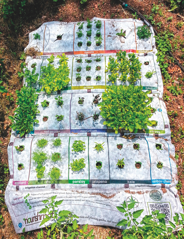 Nourishmat, un sistema que incorpora todo lo necesario para el cultivo doméstico.
