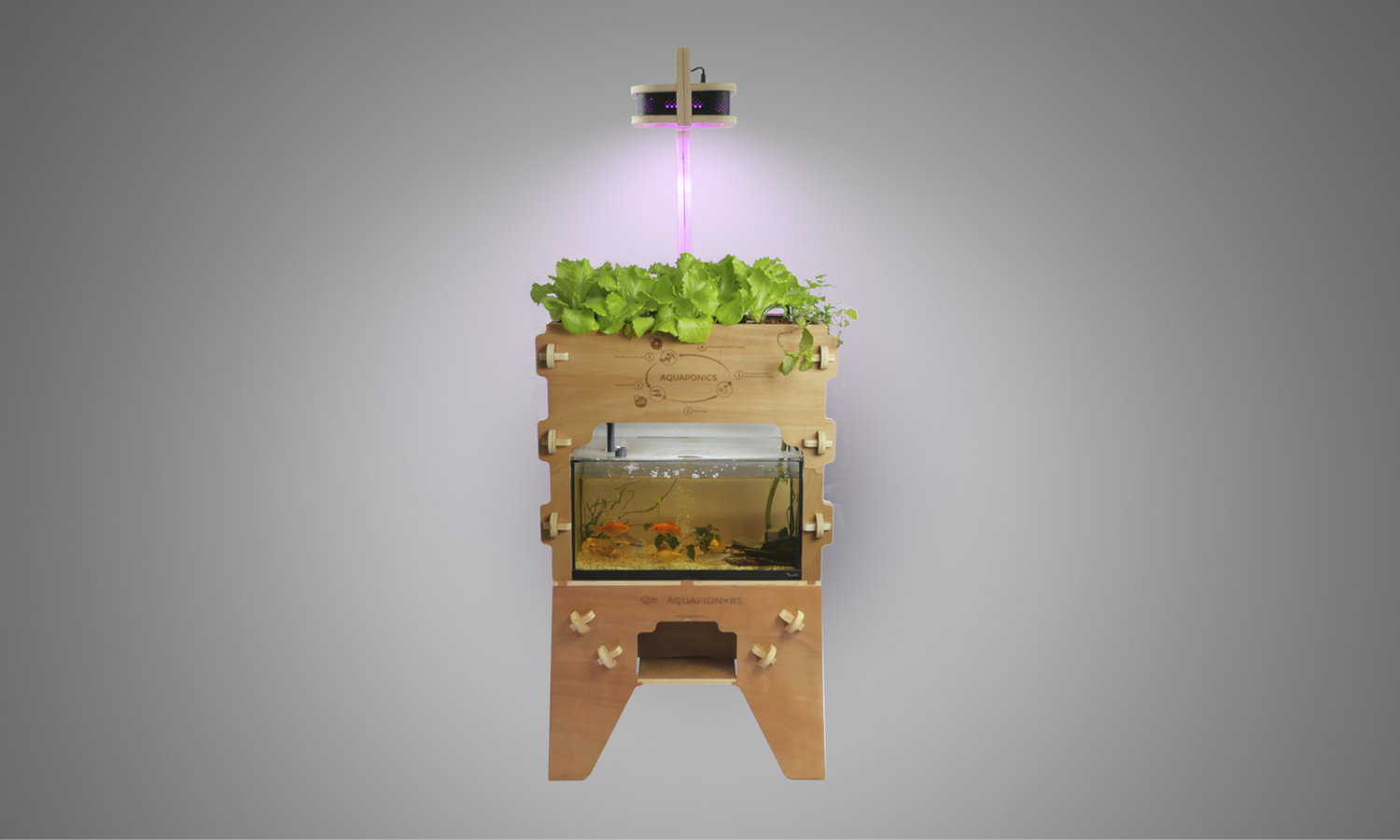 Aquapioneers. [01] El ciclo perfecto