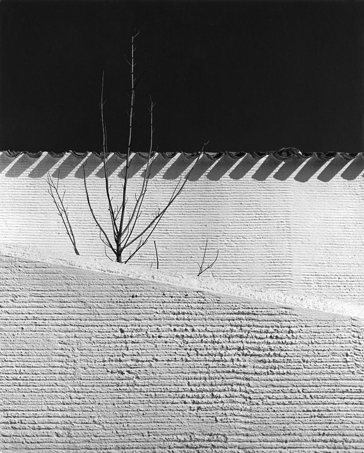 Foto Francisco Gómez
