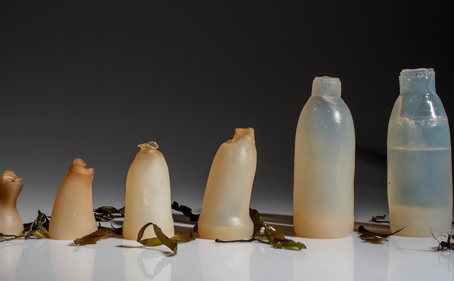 Arquitectura y Diseno Productos Sostenibles6. [07] Y en algas te convertirás