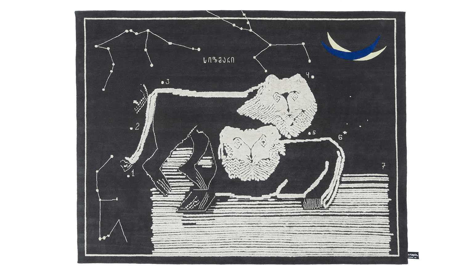 Lions at Night, diseño de Rooms Studio para CC-Tapis