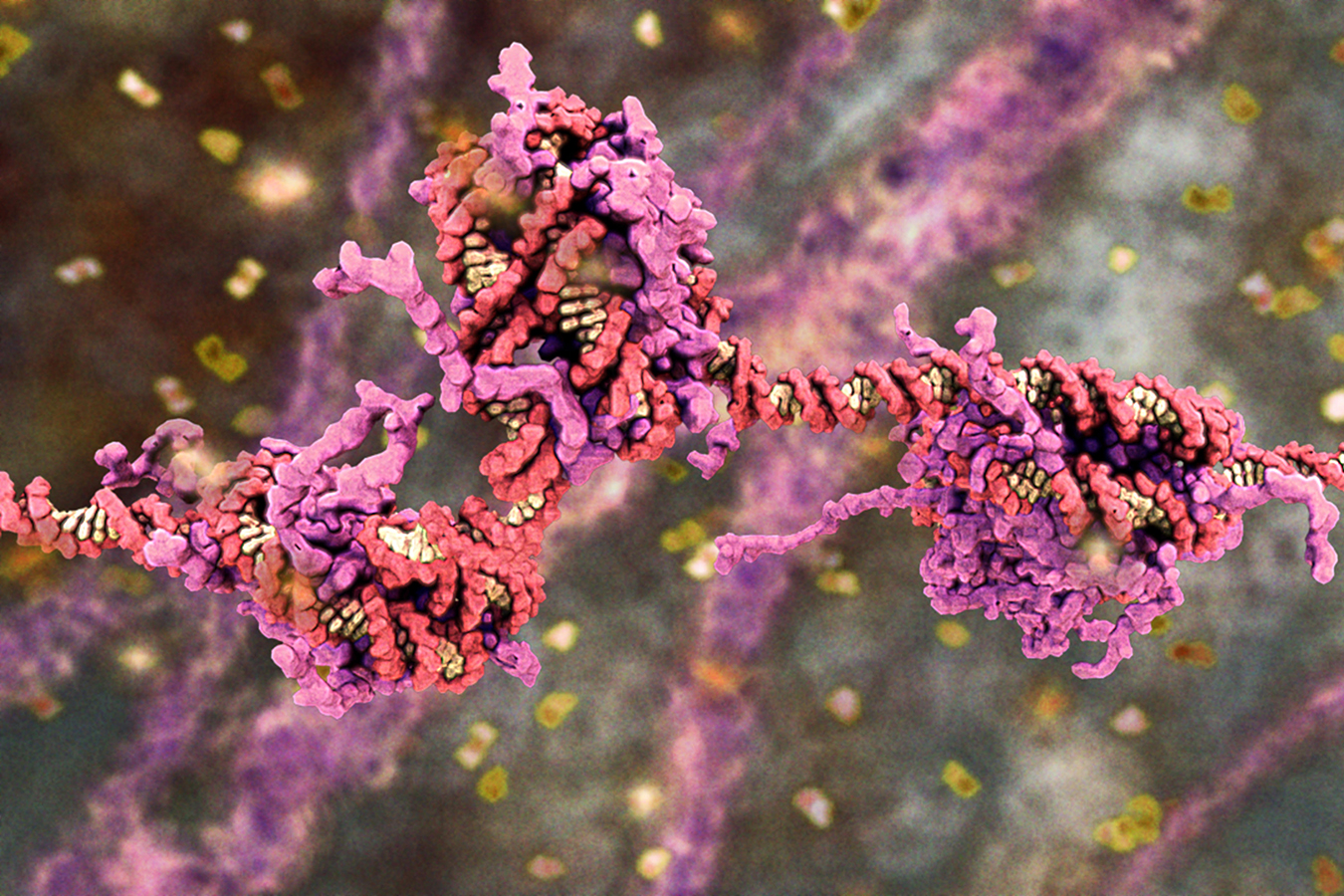 Body Code Animation, Drew Berry, The Walter and Eliza Hall Institute of Medical Research © E.O.Wilson Biodiversity Foundation. 