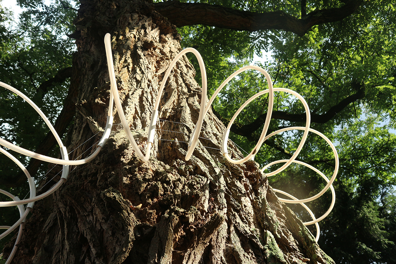 Living Network, dummy antenna around fake tree, Jalila Essaidi (c) BioArt Laboratories. 