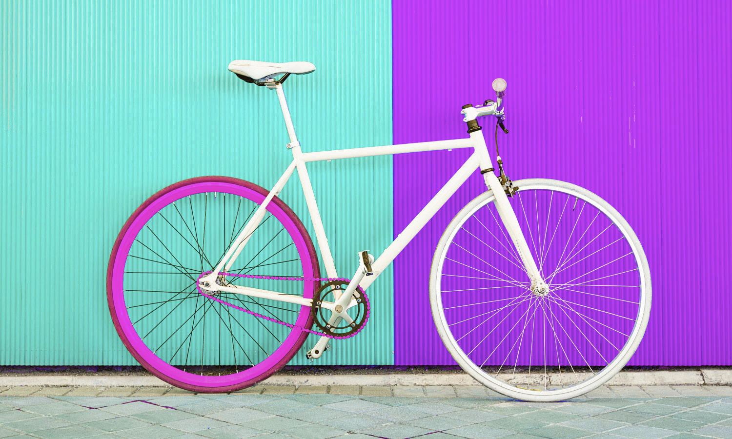 Bicecleta especial para el concurso de diseño. [06] Para todos los públicos
