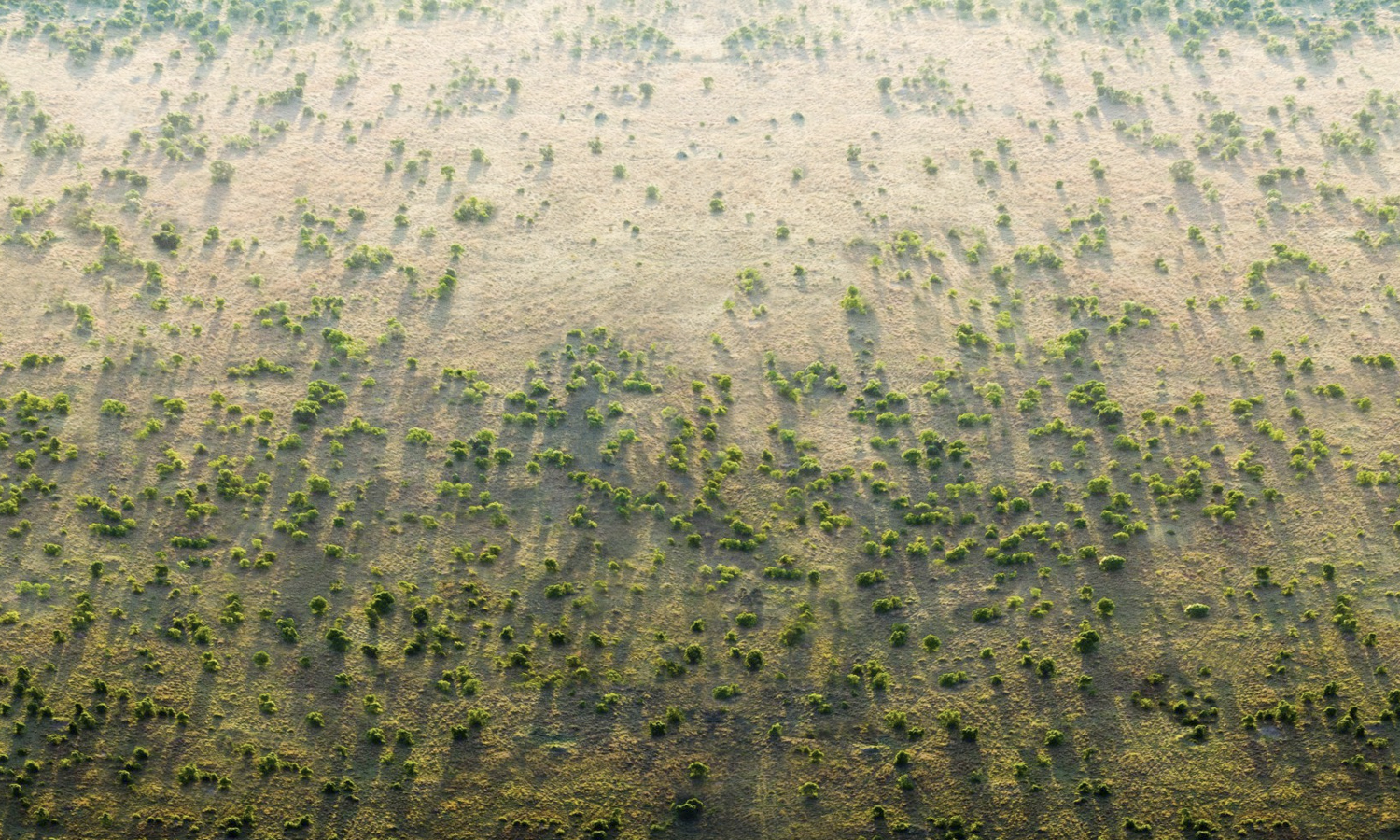 La gran muralla verde de África