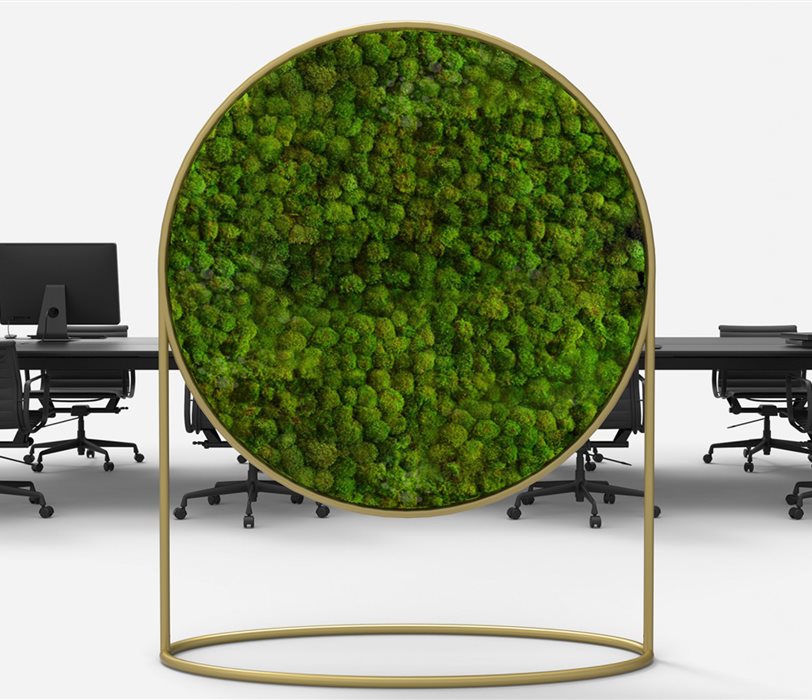 Green Mood 1