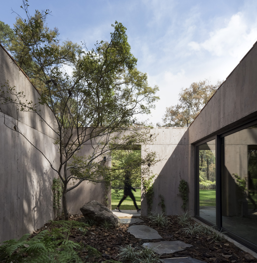 L House, por Dellekamp Arquitectos.