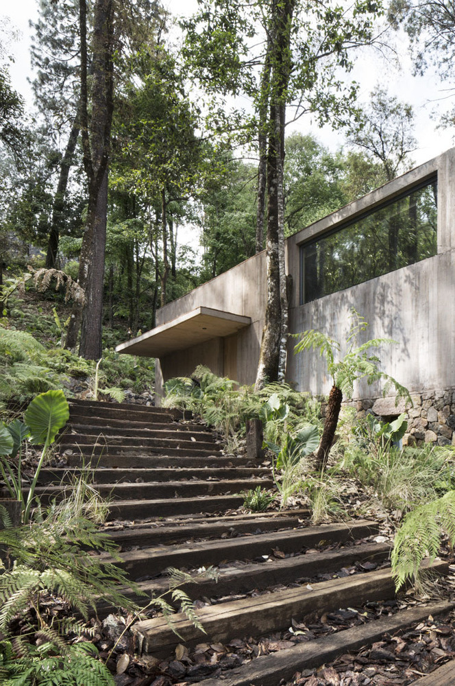 L House, por Dellekamp Arquitectos.