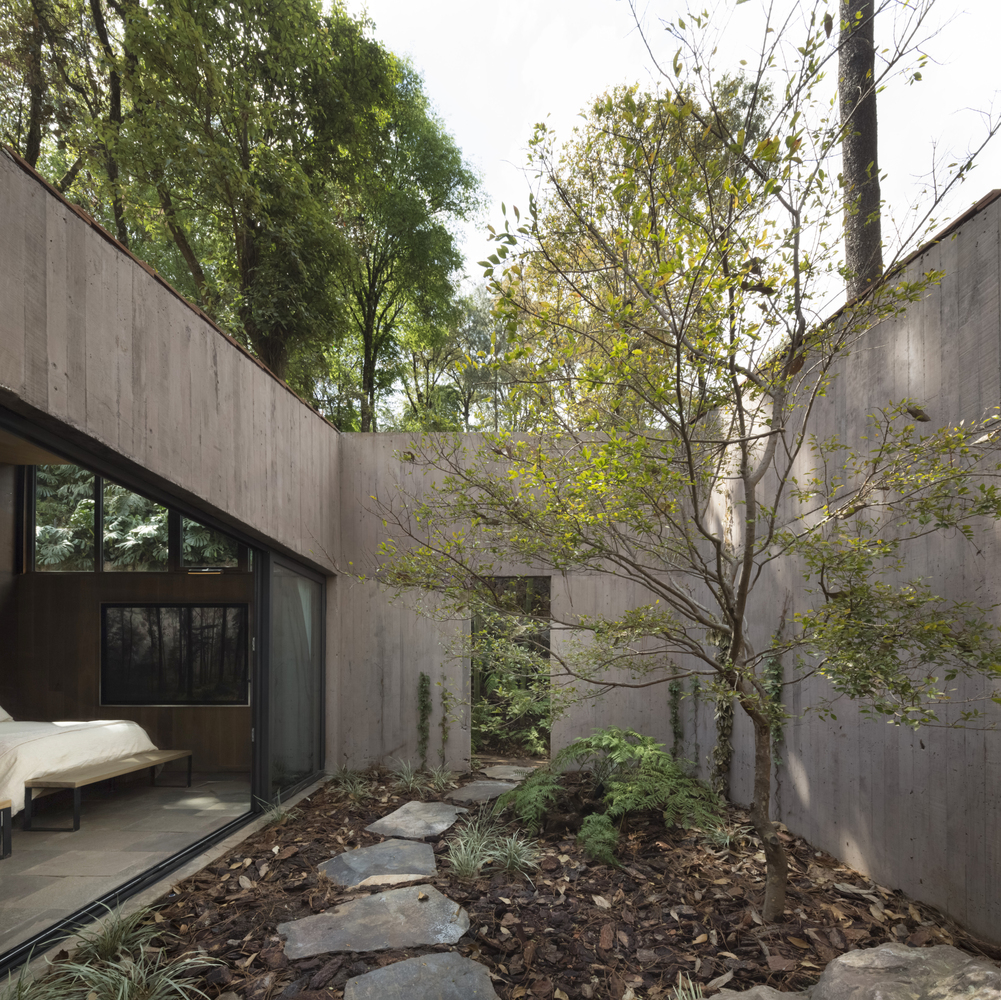 L House, por Dellekamp Arquitectos.