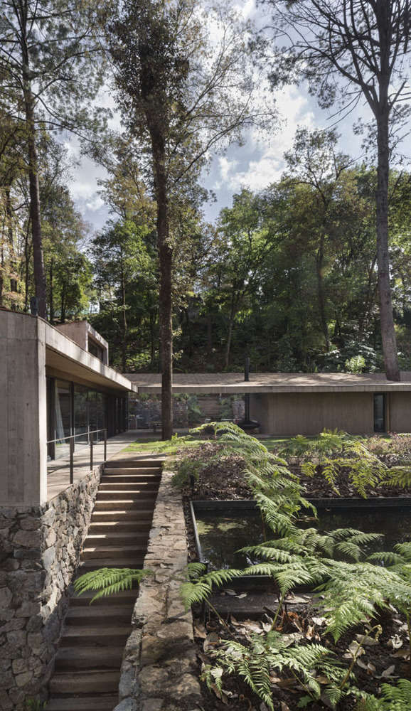 L House, por Dellekamp Arquitectos.