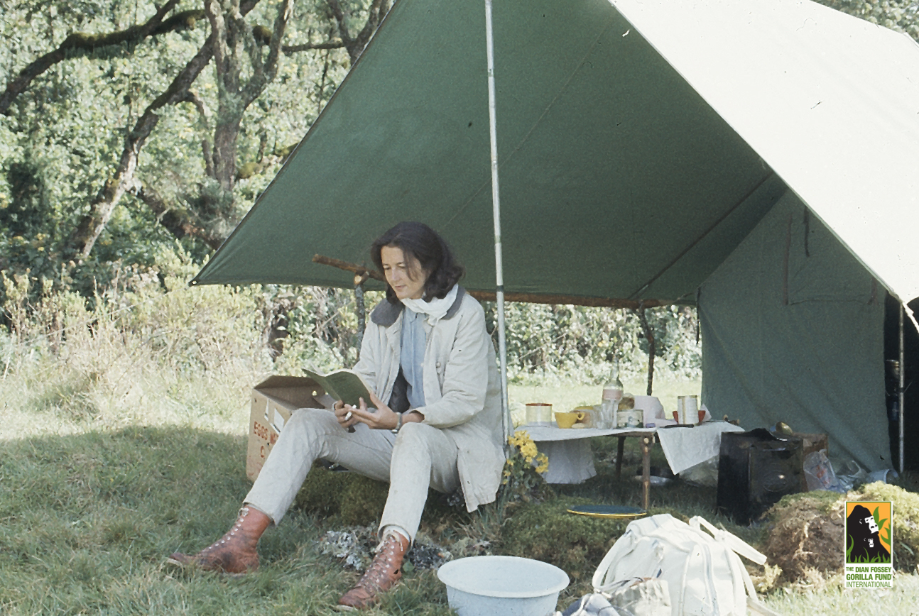 Dian Fossey.
