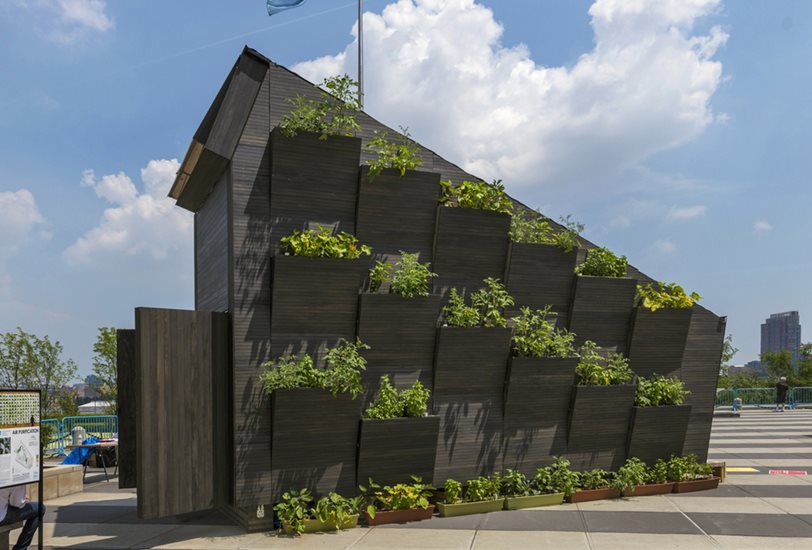 Tiny House, ONU-Habitat.