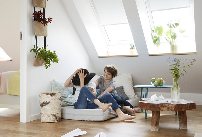 toldos velux