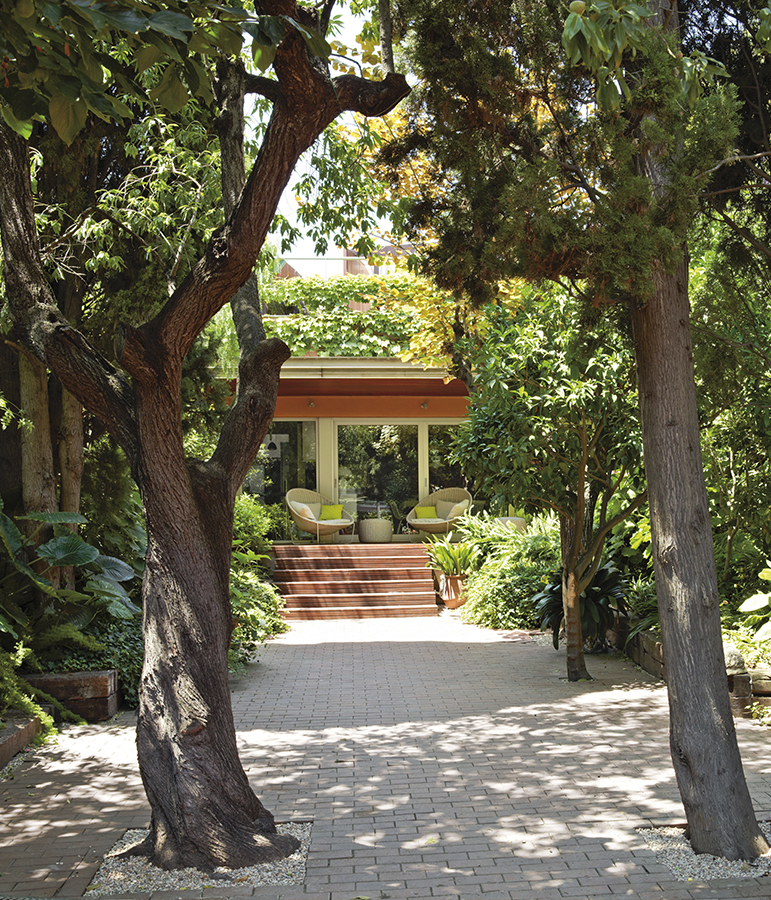 Jordi Garcés Oasis Urbano Barcelona 4. 