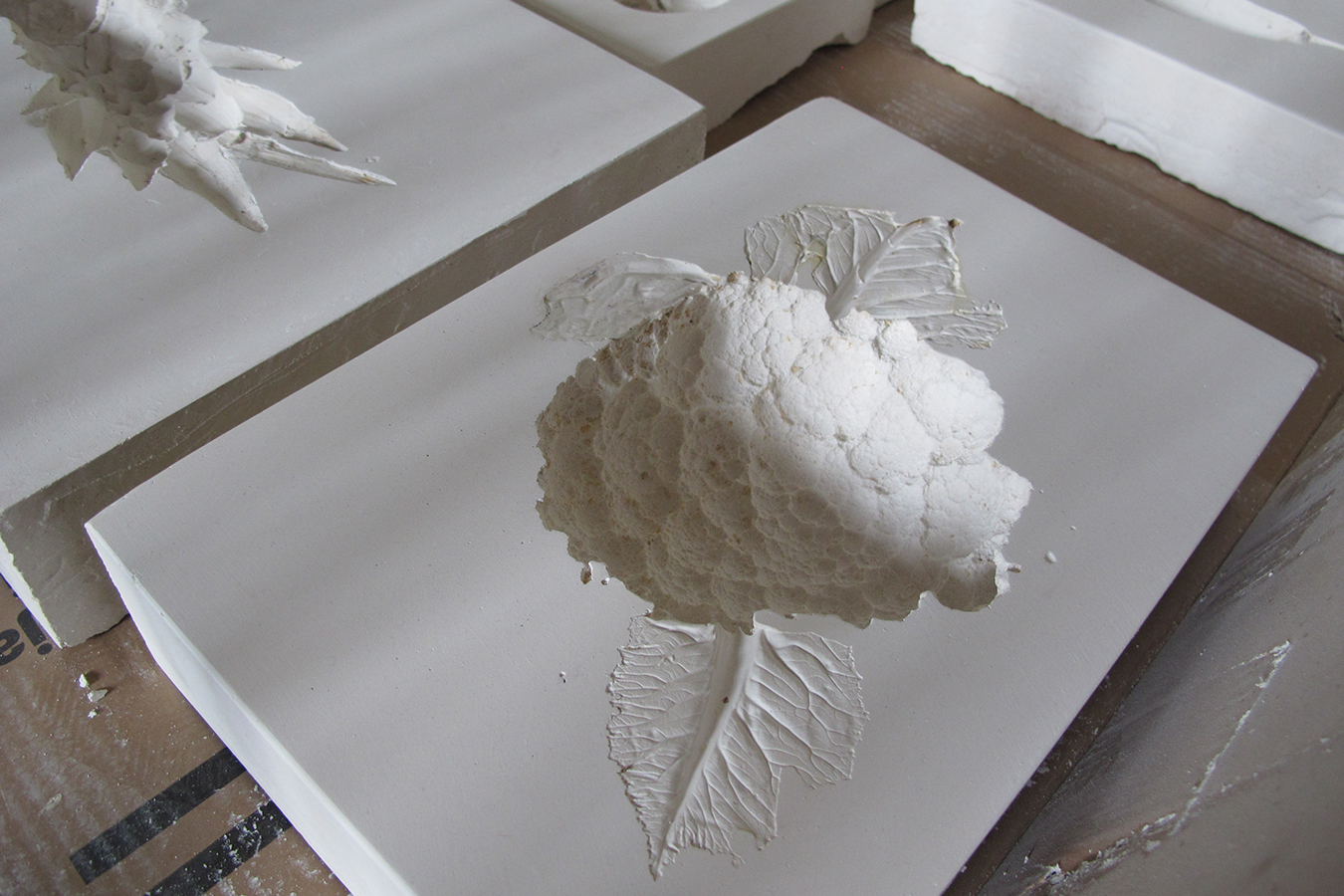 Pur by Nandu Mold 07. 