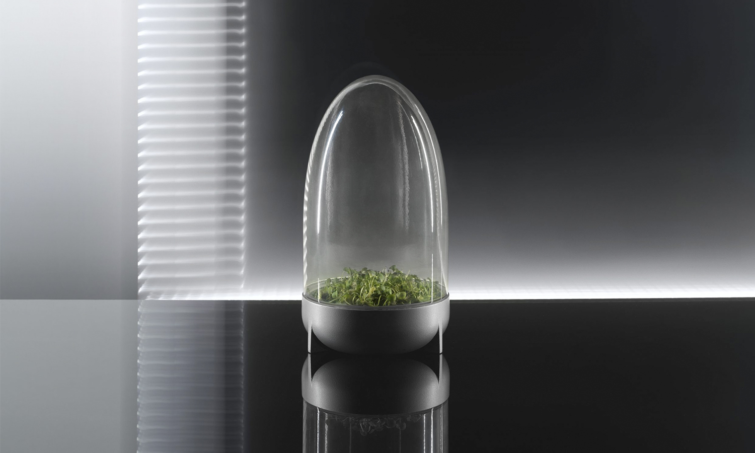 Cápsula-terrario, colección Rumtid de IKEA.
