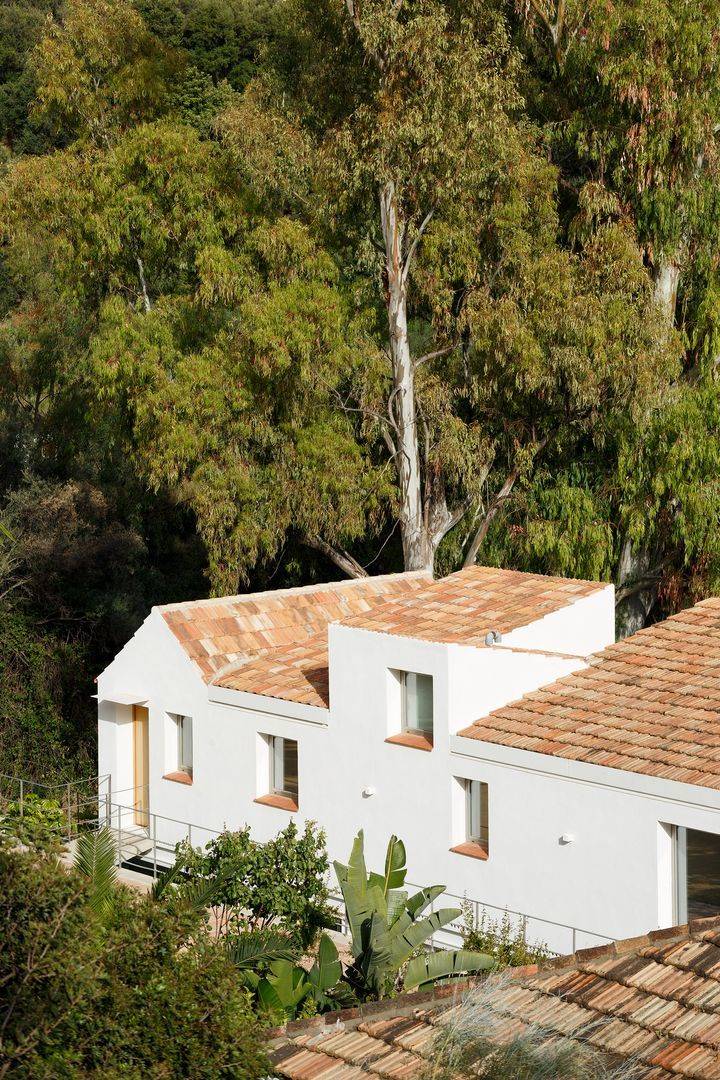 Casa del Búho, de Gonzalo Gutiérrez