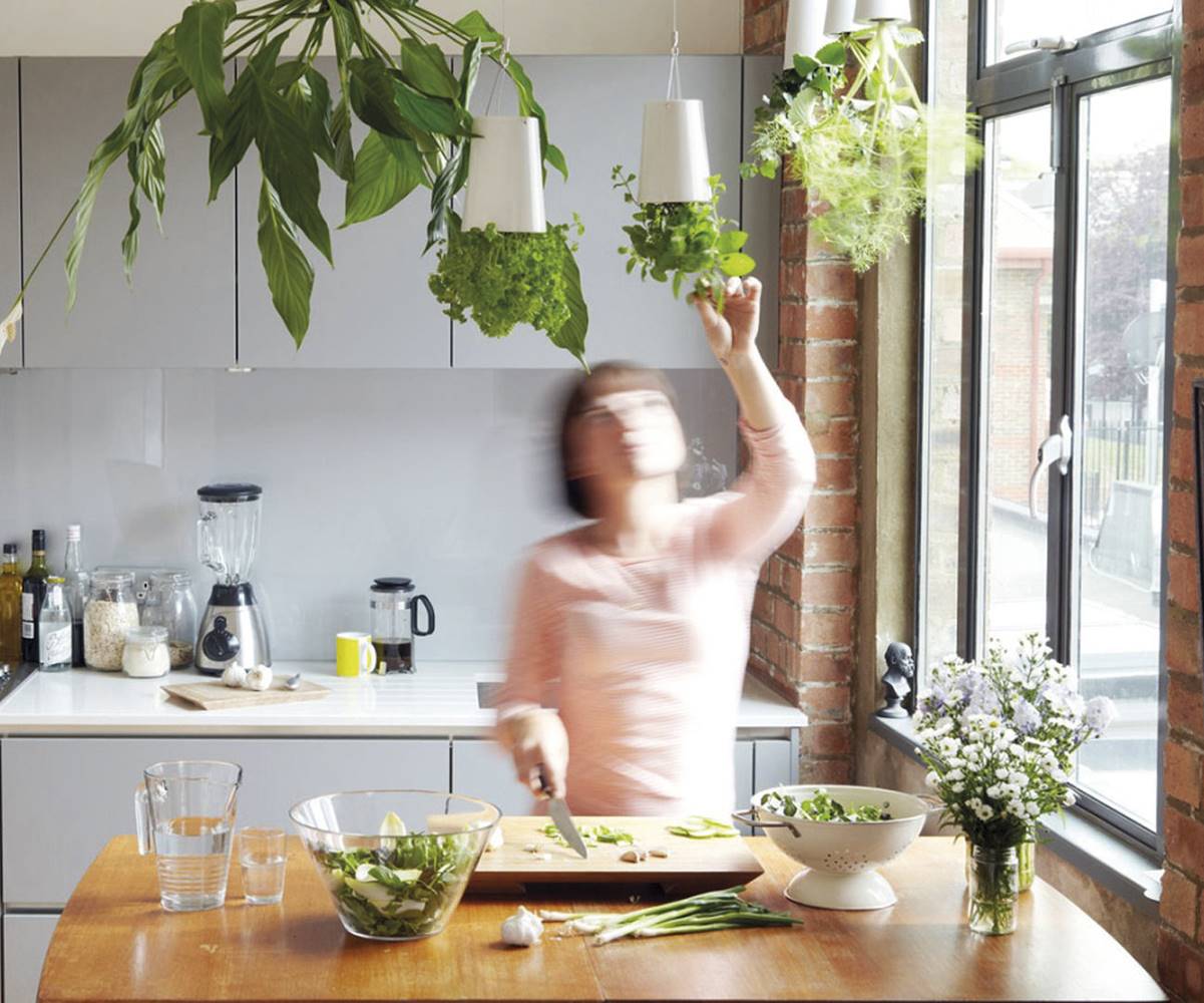 Sky Planter, de Boskke, son maceteros colgantes con riego localizado para cultivar hierbas y aromáticas.
