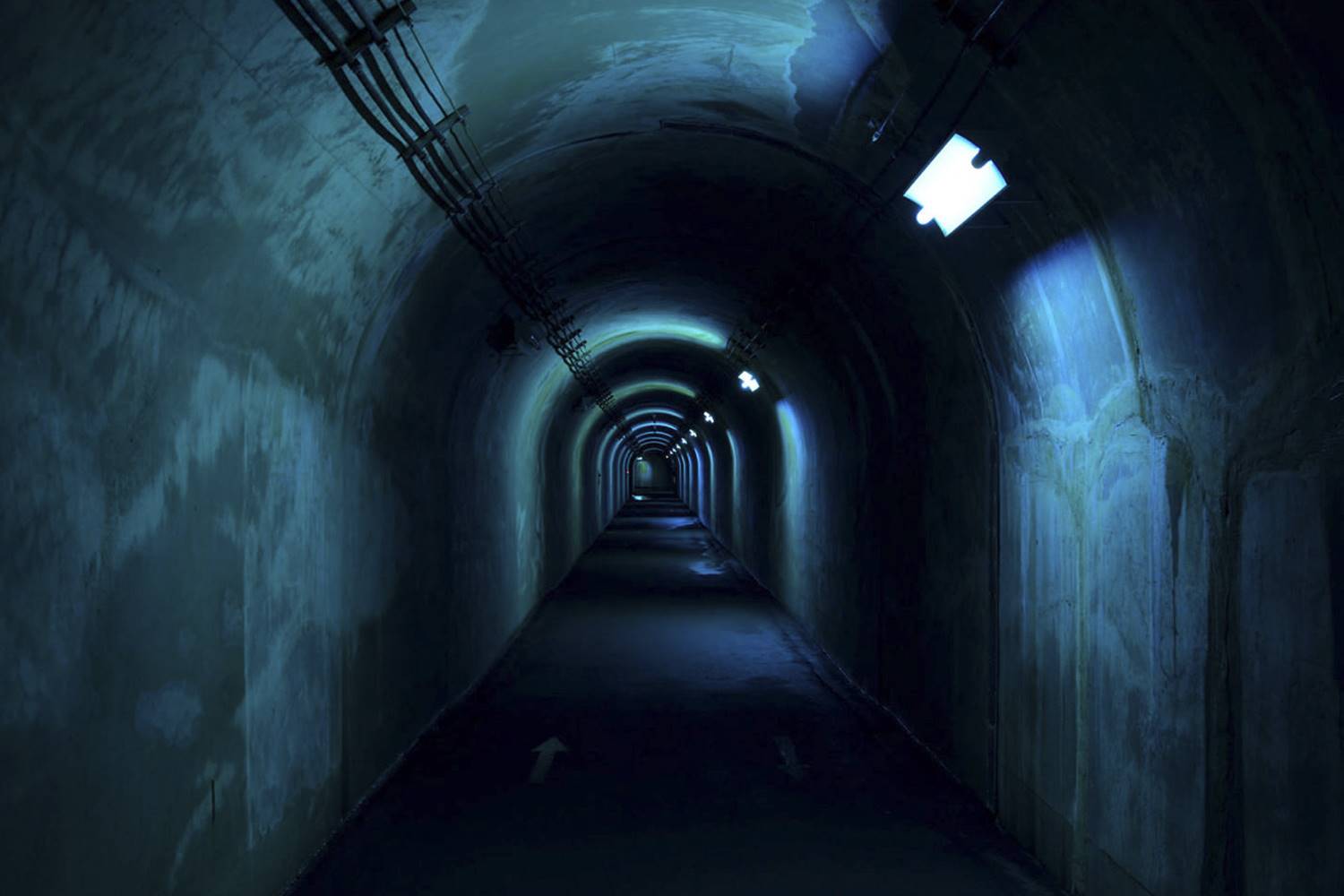 Imagen de la instalación 'Expression of Color', en The Tunnel of Light.