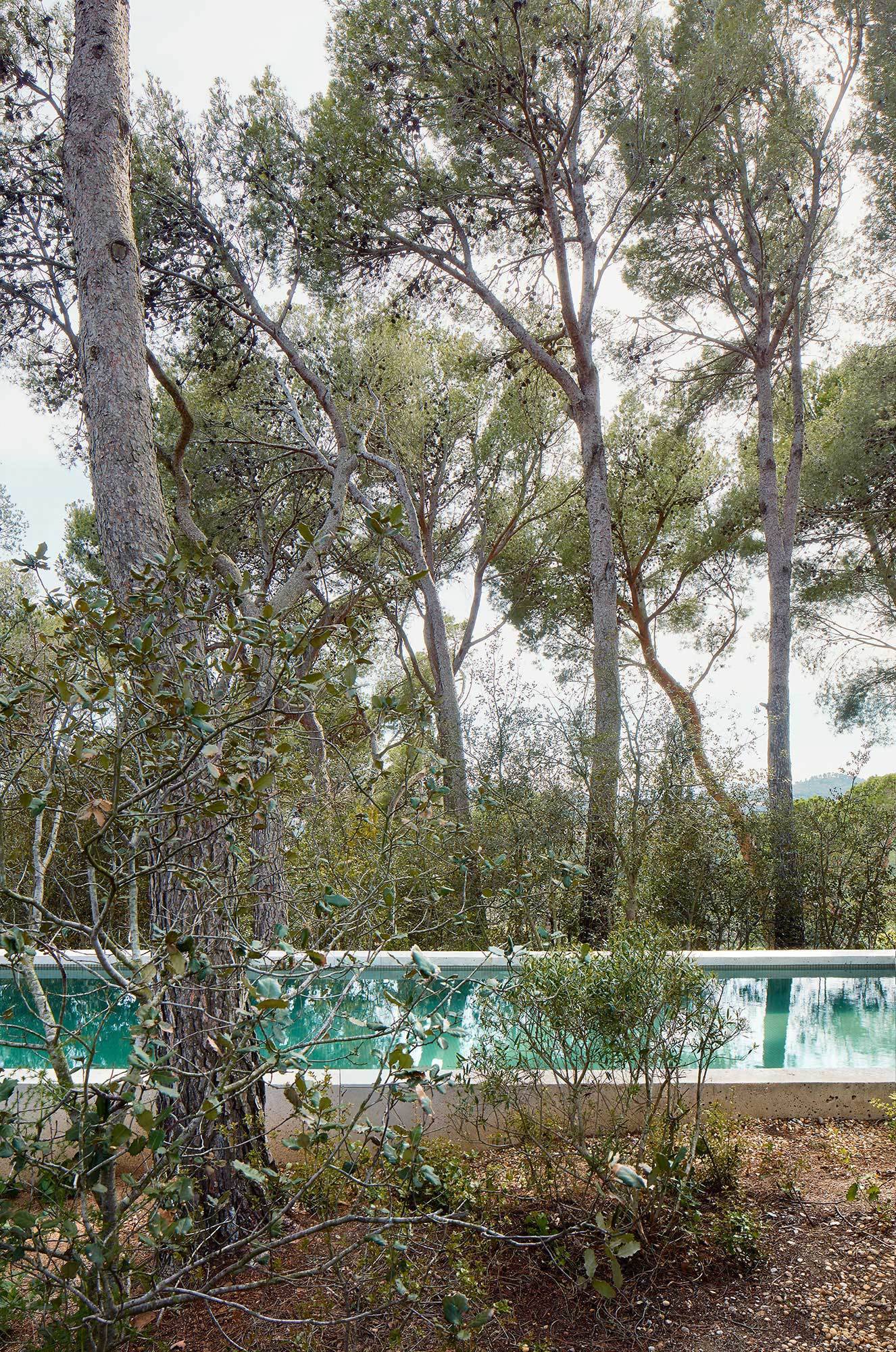 Dos casas de corcho, por López Rivera Arquitectos