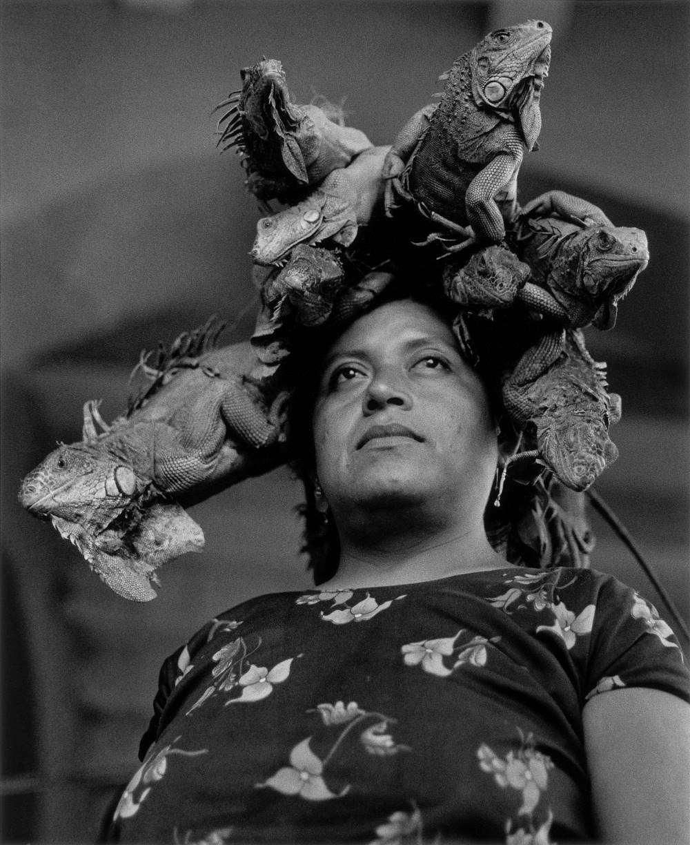 Nuestra Señora de Iguanas, por Gabriela Iturralde