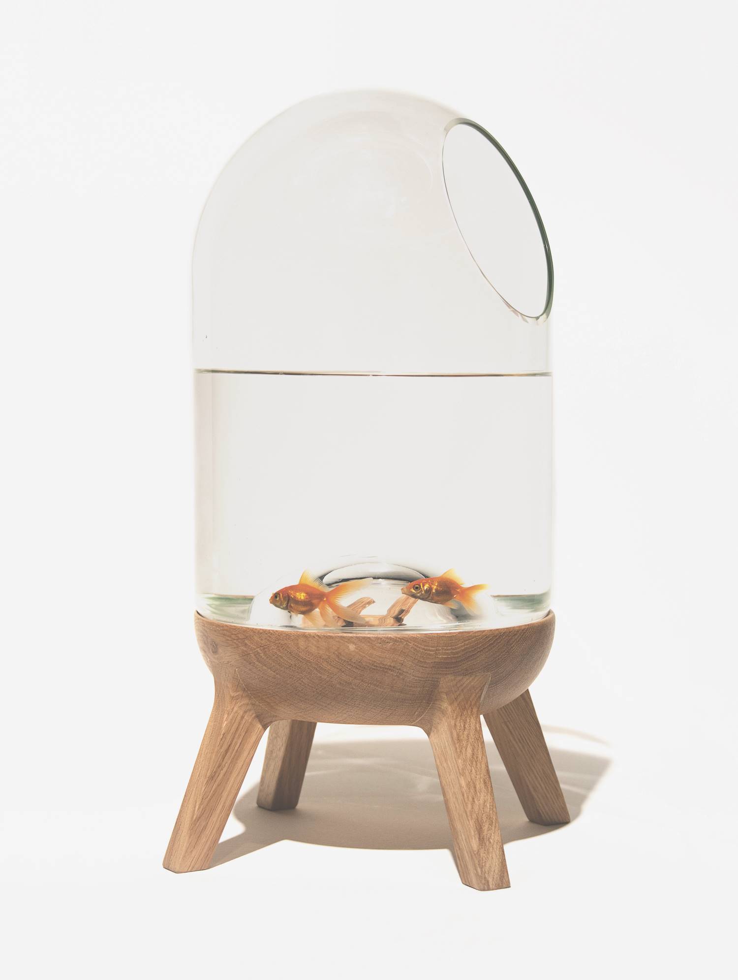 Fishbowl
