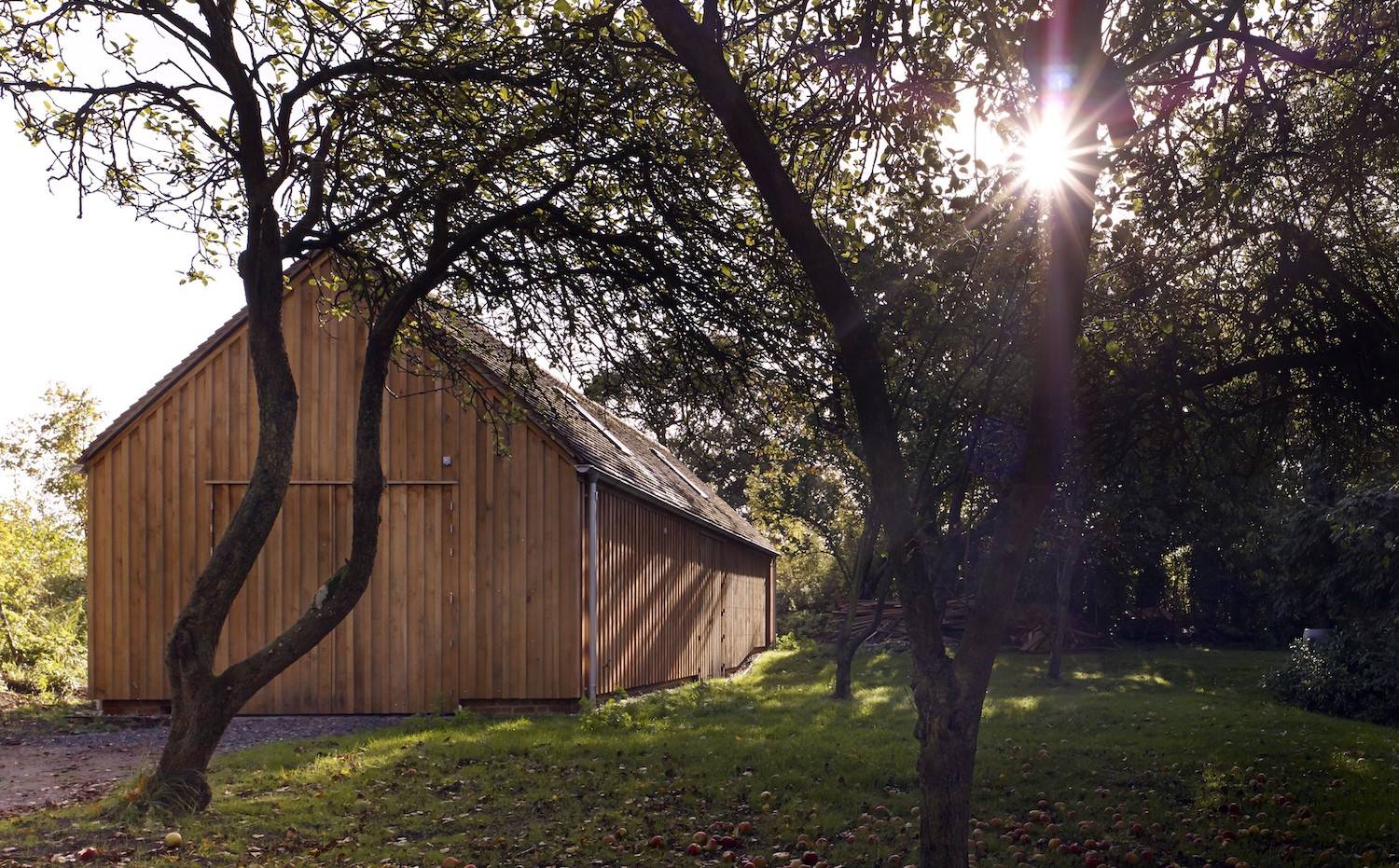 cabaña de madera en mitad del bosque