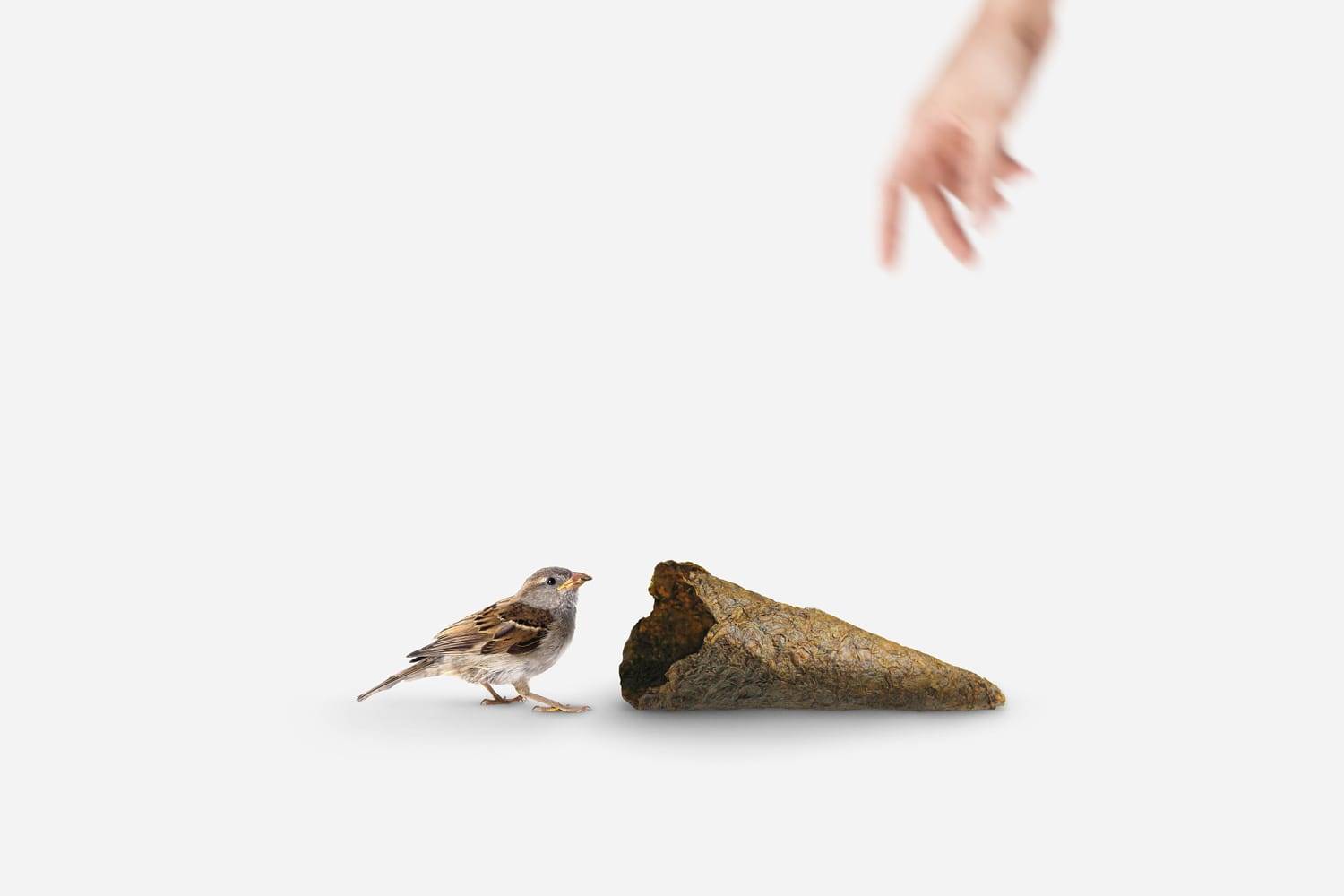 Peel Saver.