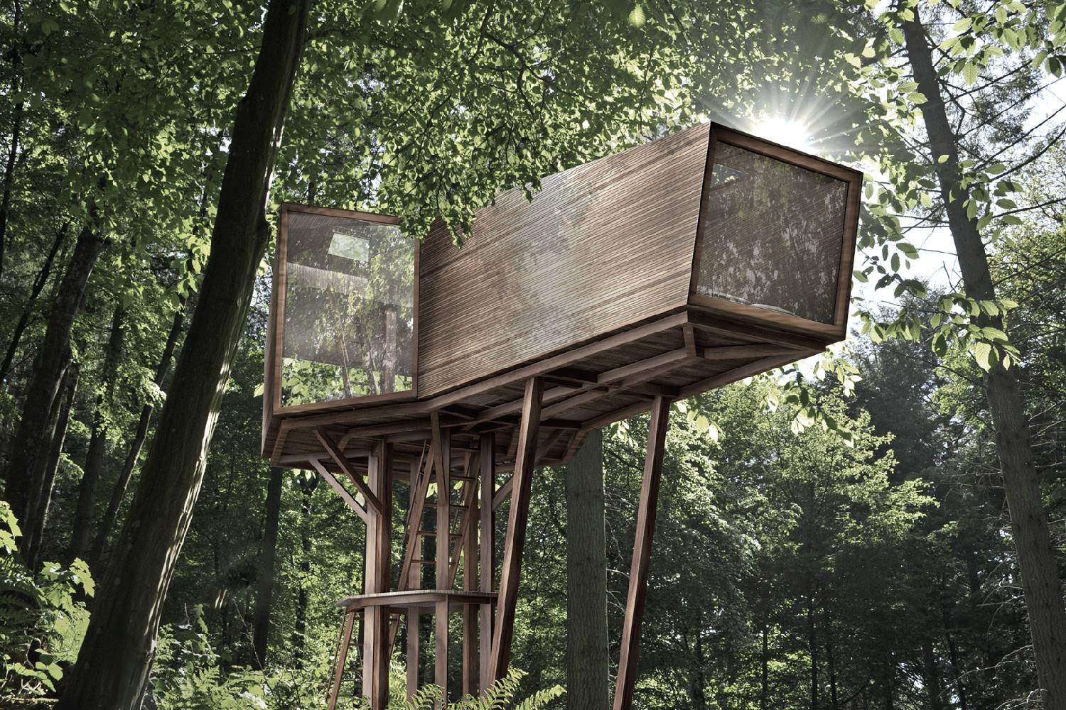 casas en arboles anthony-gibbon-. 