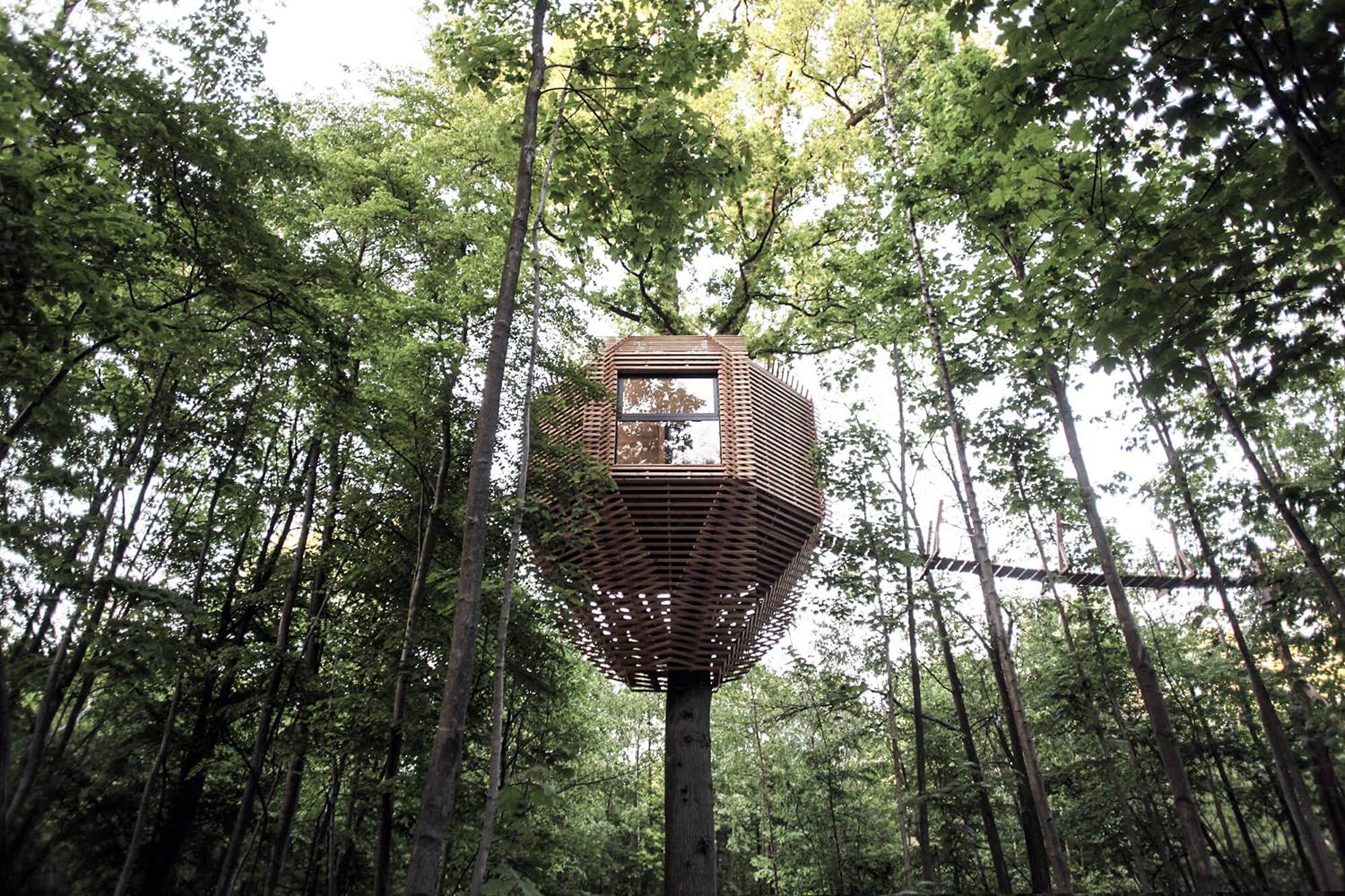 casas en arboles origin atelier lavit. 