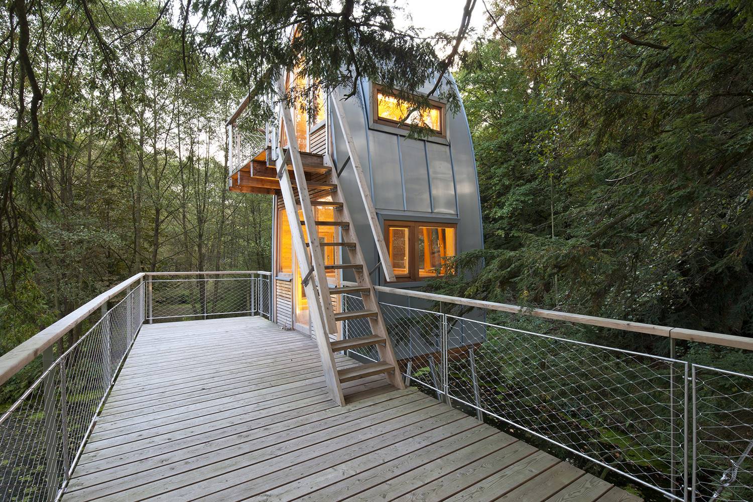 casas en arboles solling. 