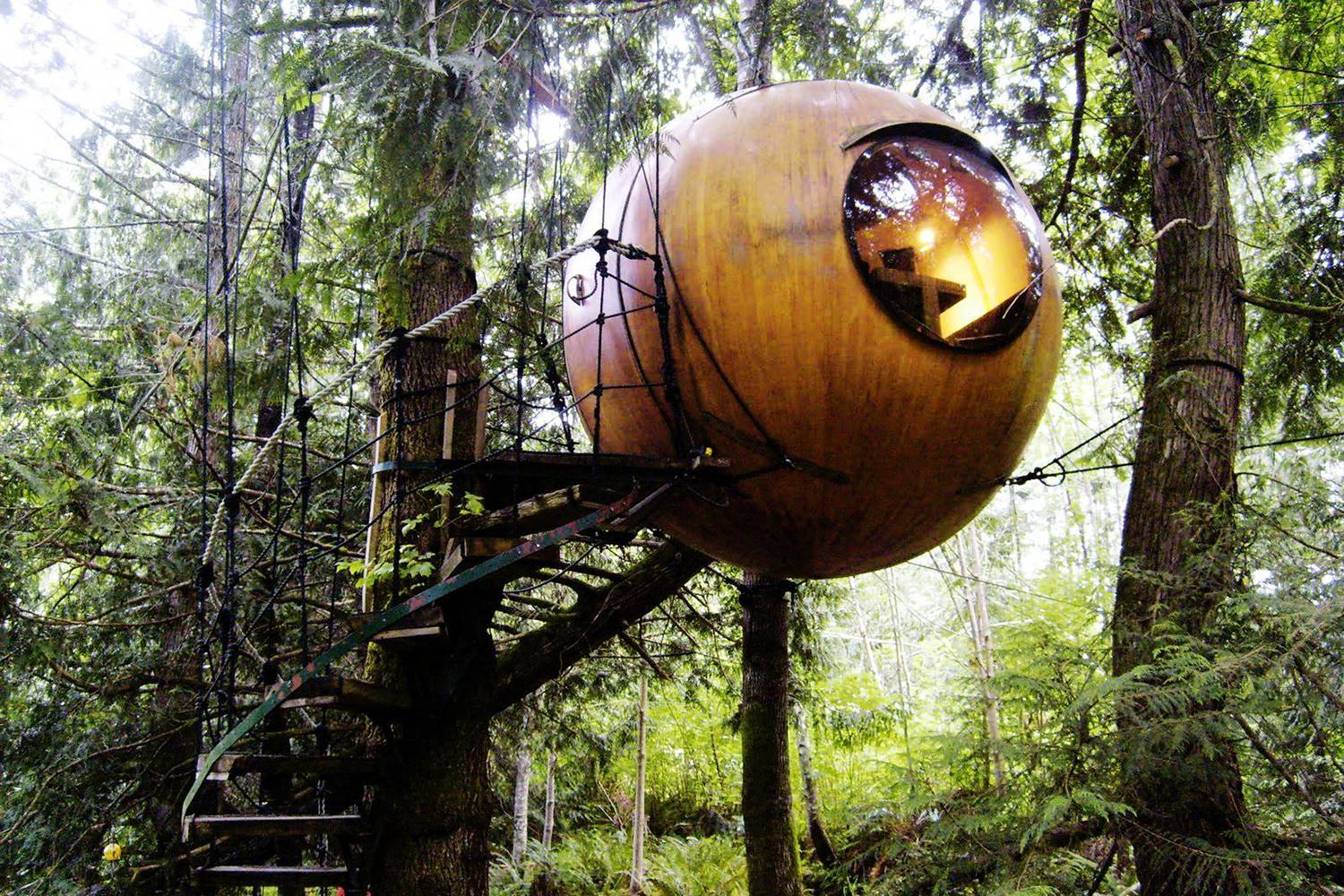 casas en arboles spirit spheres. 