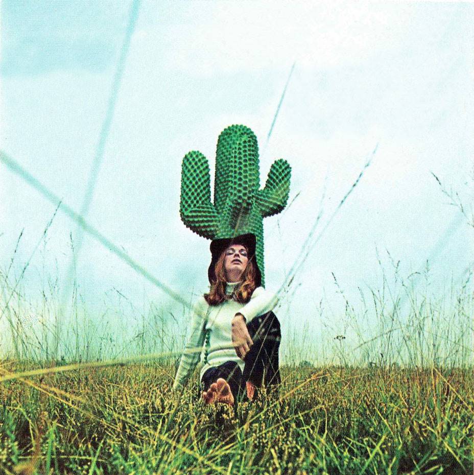 Cactus, diseño de Guido Drocco y Franco Mello para Gufram.