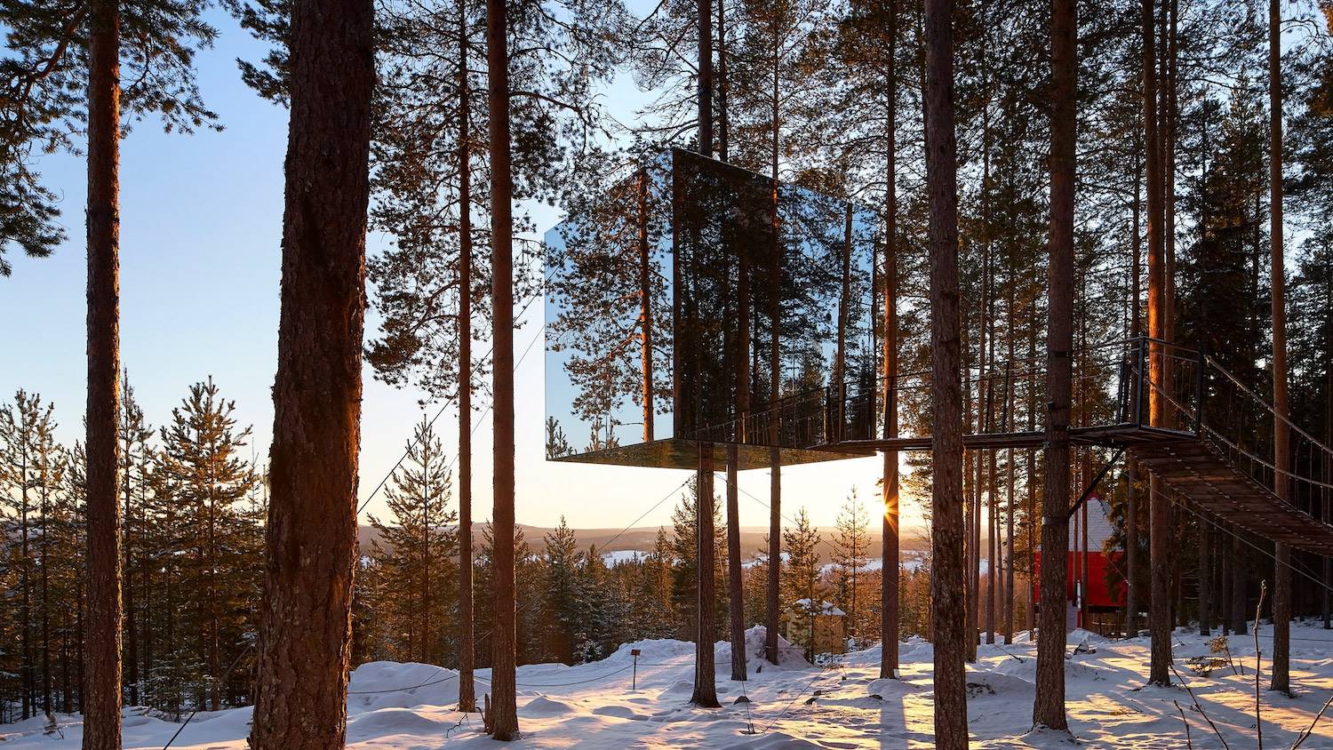 Treehotel. [07] Tree hotel