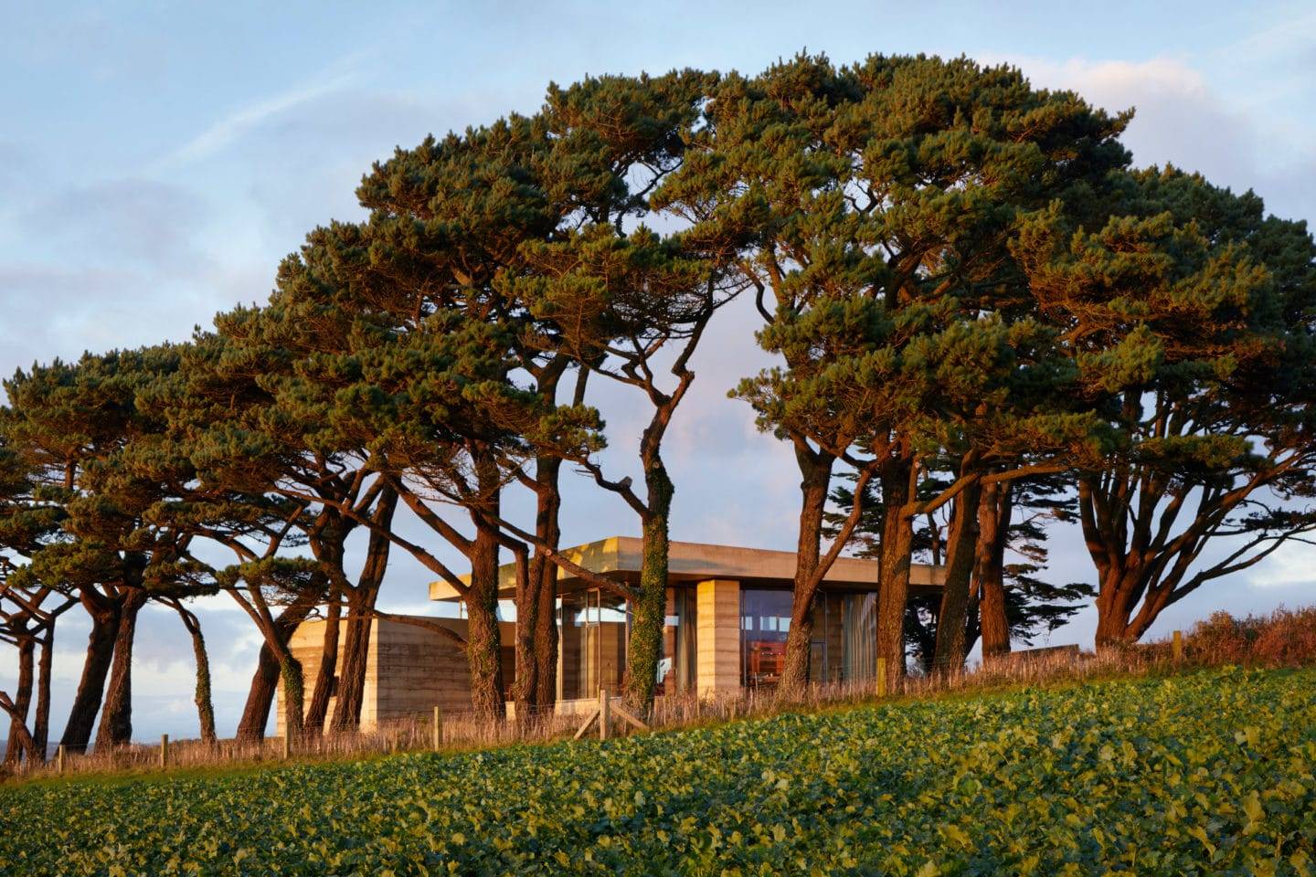 Secular Retreat, de Peter Zumthor para Living Architecture.
